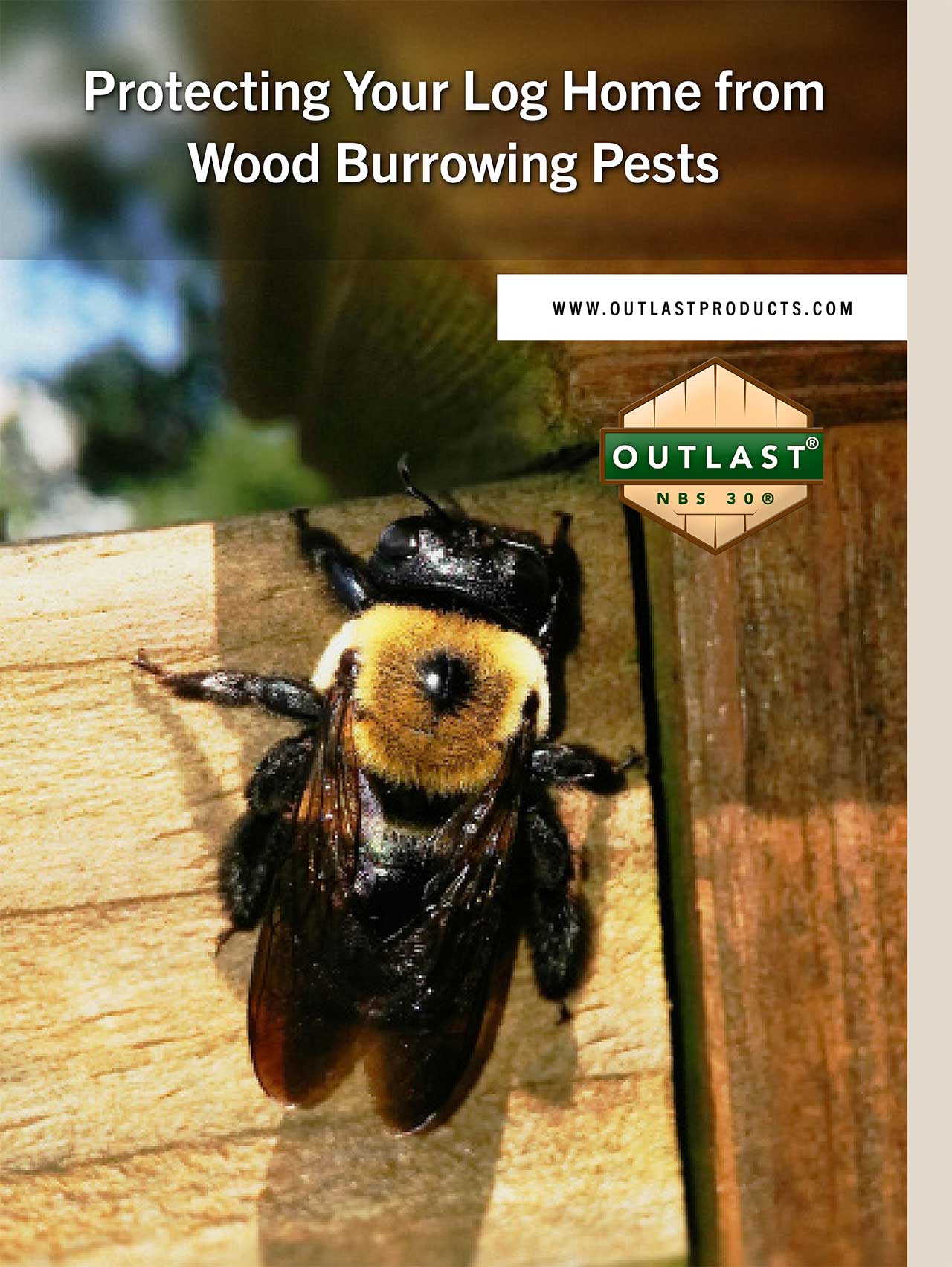 Outlast Complete NBS 30 eBook Protectng Your Log Home from Wood Burrowing Pests